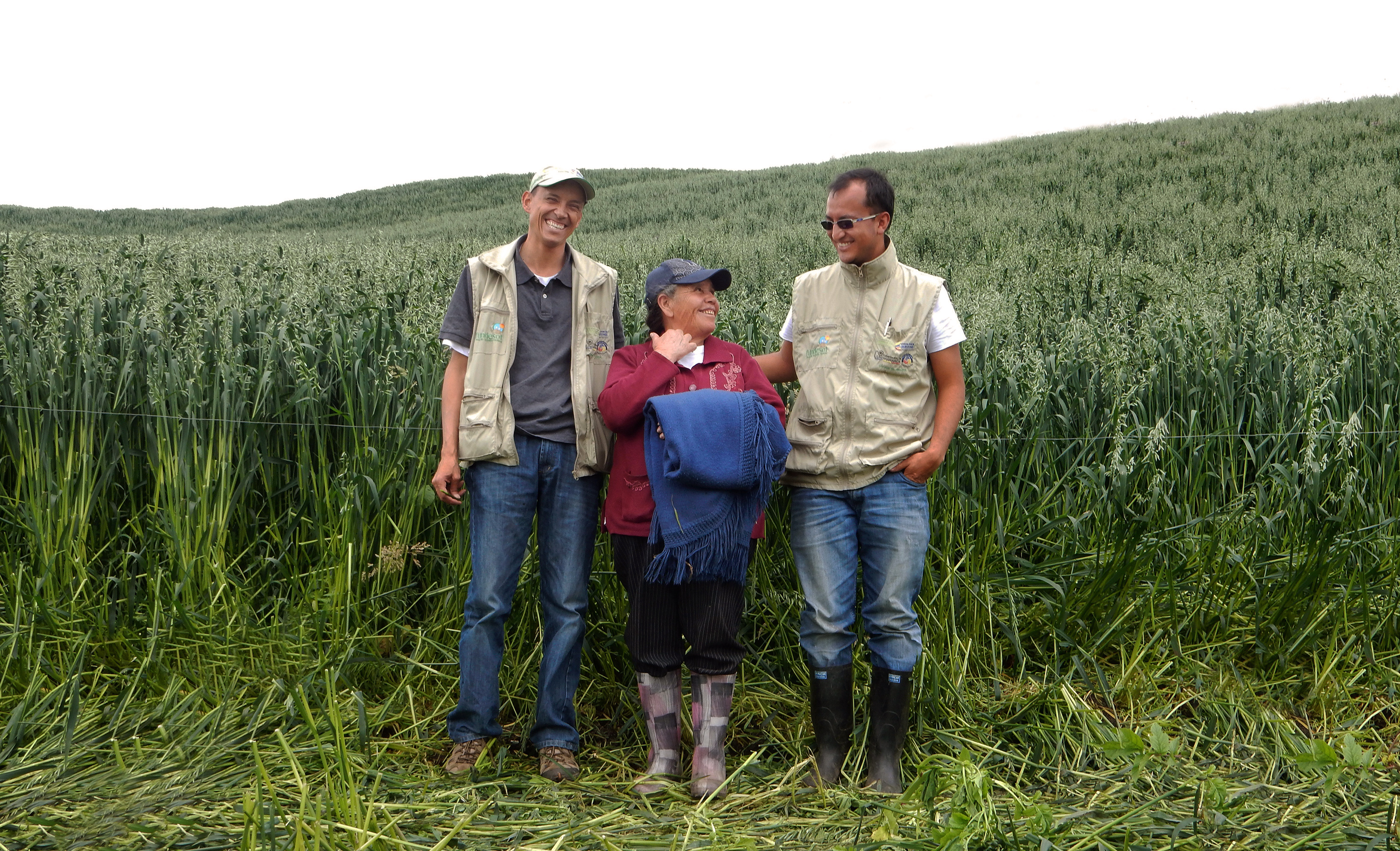 Sistemas productivos